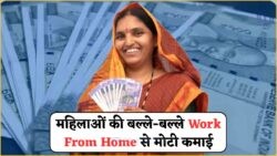 महिलाओं के लिए घर बैठे आत्मनिर्भर बनने का मौका – सिर्फ 3 घंटे में कमाएं ₹15,000 हर महीने!