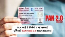 2025 से PAN कार्ड धारकों के लिए 7 गारंटीड सुविधाएं - जानें कैसे बदल रहा है आपका पहचान पत्र